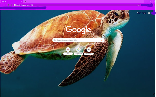 Purple Turtles from Chrome web store to be run with OffiDocs Chromium online Purple Turtles from Chrome web store to be run with OffiDocs Chromium online