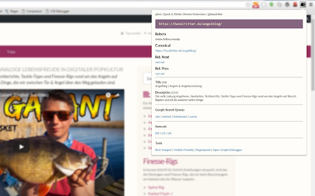 qSEO Meta SEO Site Tool from Chrome web store to be run with OffiDocs Chromium online qSEO Meta SEO Site Tool from Chrome web store to be run with OffiDocs Chromium online