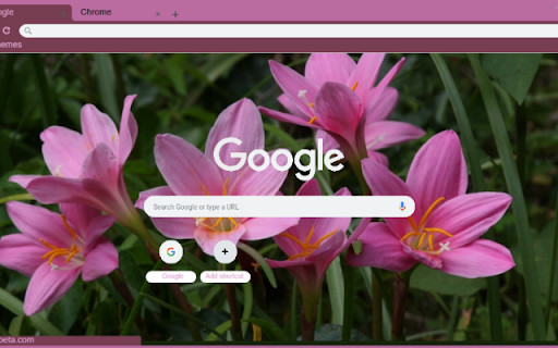 Rain Lily Pink from Chrome web store to be run with OffiDocs Chromium online Rain Lily Pink from Chrome web store to be run with OffiDocs Chromium online