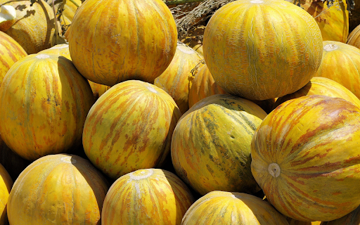 Ripe cantaloupes from Chrome web store to be run with OffiDocs Chromium online Ripe cantaloupes from Chrome web store to be run with OffiDocs Chromium online