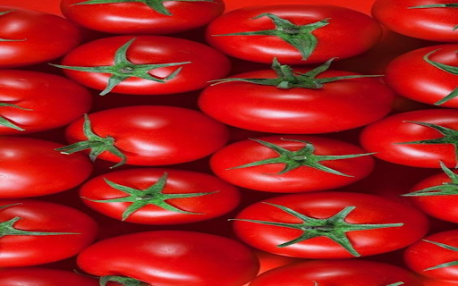 Ripe red tomatoes Wallpaper from Chrome web store to be run with OffiDocs Chromium online Ripe red tomatoes Wallpaper from Chrome web store to be run with OffiDocs Chromium online