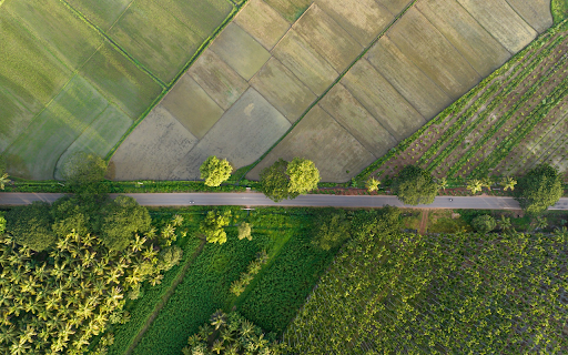 roads and fields from Chrome web store to be run with OffiDocs Chromium online roads and fields from Chrome web store to be run with OffiDocs Chromium online