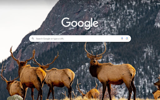 Rocky Mountain Elk Gathering from Chrome web store to be run with OffiDocs Chromium online Rocky Mountain Elk Gathering from Chrome web store to be run with OffiDocs Chromium online