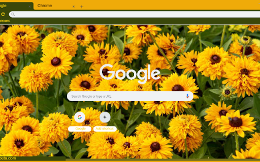 Rudbeckia from Chrome web store to be run with OffiDocs Chromium online Rudbeckia from Chrome web store to be run with OffiDocs Chromium online