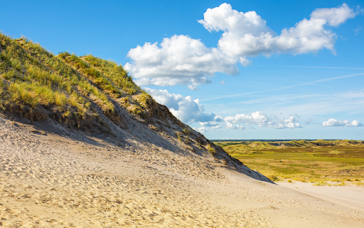 Sand dunes and grass from Chrome web store to be run with OffiDocs Chromium online Sand dunes and grass from Chrome web store to be run with OffiDocs Chromium online
