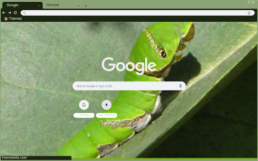 Sau Xanh from Chrome web store to be run with OffiDocs Chromium online Sau Xanh from Chrome web store to be run with OffiDocs Chromium online