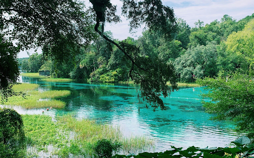 Scenic Shot of Rainbow Springs from Chrome web store to be run with OffiDocs Chromium online Scenic Shot of Rainbow Springs from Chrome web store to be run with OffiDocs Chromium online