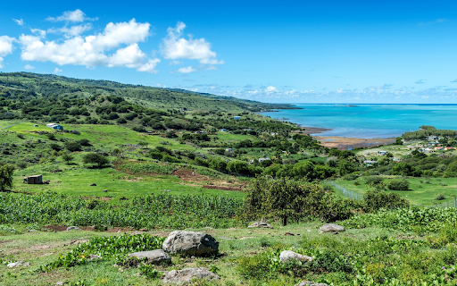 Sea and green meadows from Chrome web store to be run with OffiDocs Chromium online Sea and green meadows from Chrome web store to be run with OffiDocs Chromium online