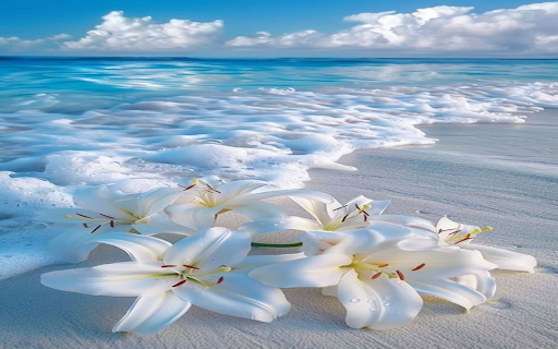 Sea lilies wallpaper from Chrome web store to be run with OffiDocs Chromium online Sea lilies wallpaper from Chrome web store to be run with OffiDocs Chromium online