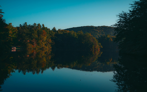 Serene Lake Landscape with Forest Reflections at Dawn from Chrome web store to be run with OffiDocs Chromium online Serene Lake Landscape with Forest Reflections at Dawn from Chrome web store to be run with OffiDocs Chromium online