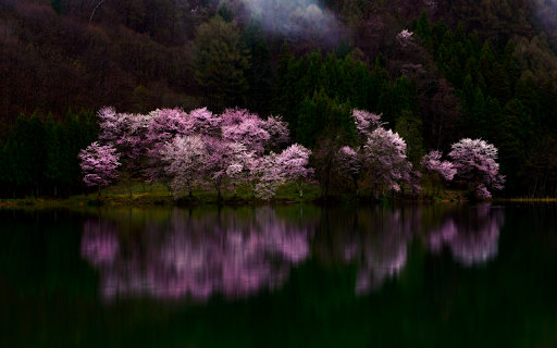 Serene Reflection from Chrome web store to be run with OffiDocs Chromium online Serene Reflection from Chrome web store to be run with OffiDocs Chromium online