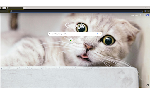 Shallow Focus Photography Of Cat from Chrome web store to be run with OffiDocs Chromium online Shallow Focus Photography Of Cat from Chrome web store to be run with OffiDocs Chromium online