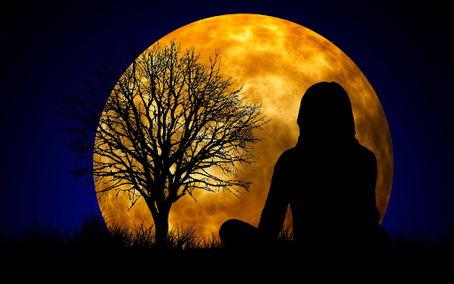 Sitting under the moon from Chrome web store to be run with OffiDocs Chromium online Sitting under the moon from Chrome web store to be run with OffiDocs Chromium online