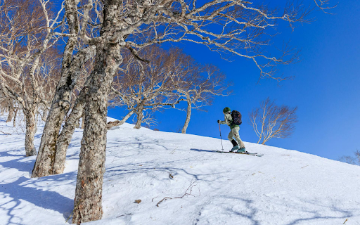 Skiing man from Chrome web store to be run with OffiDocs Chromium online Skiing man from Chrome web store to be run with OffiDocs Chromium online