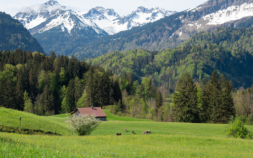 Small house on green steppe from Chrome web store to be run with OffiDocs Chromium online Small house on green steppe from Chrome web store to be run with OffiDocs Chromium online