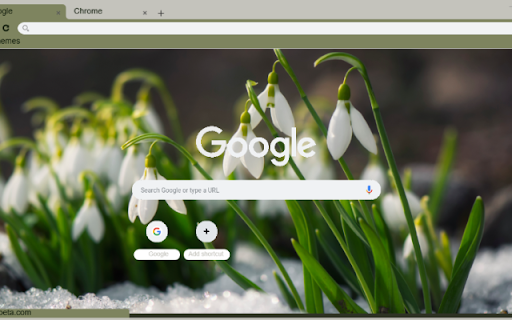 Snowdrop from Chrome web store to be run with OffiDocs Chromium online Snowdrop from Chrome web store to be run with OffiDocs Chromium online