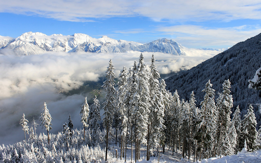Snowy forest from Chrome web store to be run with OffiDocs Chromium online Snowy forest from Chrome web store to be run with OffiDocs Chromium online