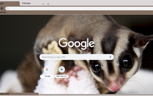 Soc Bay from Chrome web store to be run with OffiDocs Chromium online Soc Bay from Chrome web store to be run with OffiDocs Chromium online