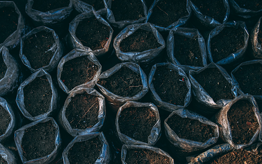 Soil for planting seeds from Chrome web store to be run with OffiDocs Chromium online Soil for planting seeds from Chrome web store to be run with OffiDocs Chromium online