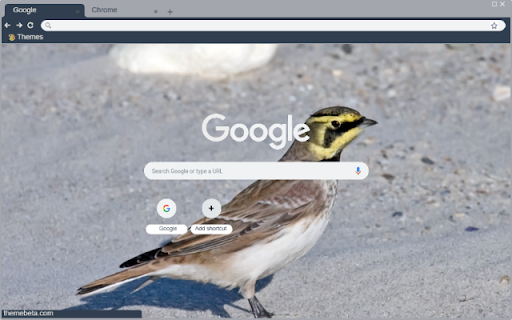 Son Ca from Chrome web store to be run with OffiDocs Chromium online Son Ca from Chrome web store to be run with OffiDocs Chromium online