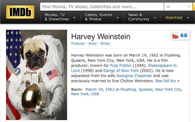 SpacePugSafeSpace: based on #MAKA from Chrome web store to be run with OffiDocs Chromium online SpacePugSafeSpace: based on #MAKA from Chrome web store to be run with OffiDocs Chromium online