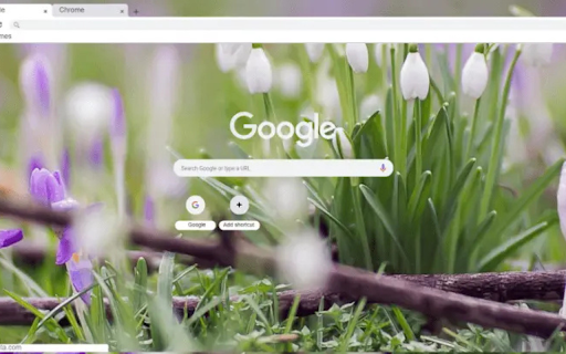 Spring flowers from Chrome web store to be run with OffiDocs Chromium online Spring flowers from Chrome web store to be run with OffiDocs Chromium online