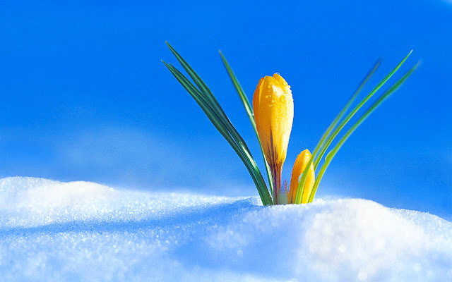 Spring Weather In Italy from Chrome web store to be run with OffiDocs Chromium online Spring Weather In Italy from Chrome web store to be run with OffiDocs Chromium online