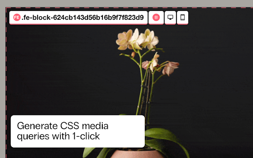 SquareSpace ID class finder from Chrome web store to be run with OffiDocs Chromium online SquareSpace ID class finder from Chrome web store to be run with OffiDocs Chromium online