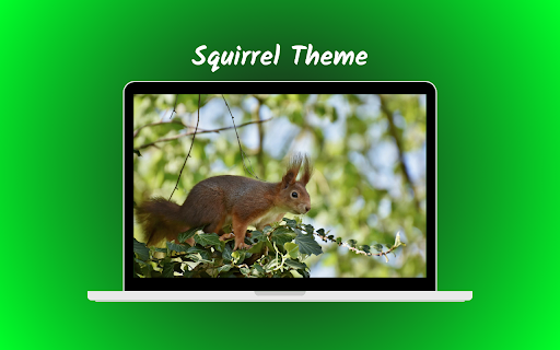 Squirrel Theme from Chrome web store to be run with OffiDocs Chromium online Squirrel Theme from Chrome web store to be run with OffiDocs Chromium online