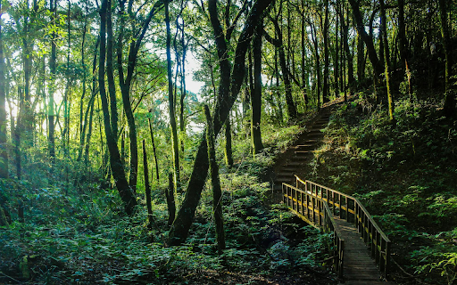Stairs Up The Mountain from Chrome web store to be run with OffiDocs Chromium online Stairs Up The Mountain from Chrome web store to be run with OffiDocs Chromium online