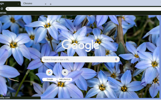 Starflower from Chrome web store to be run with OffiDocs Chromium online Starflower from Chrome web store to be run with OffiDocs Chromium online