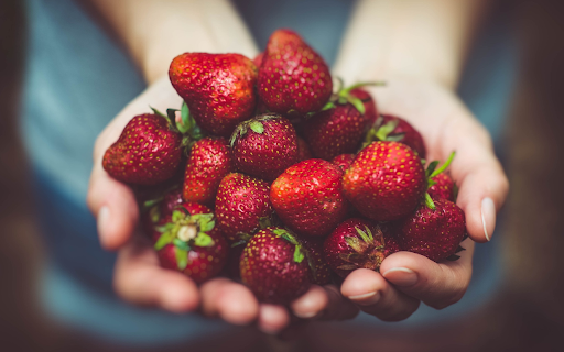 Strawberries in hand from Chrome web store to be run with OffiDocs Chromium online Strawberries in hand from Chrome web store to be run with OffiDocs Chromium online