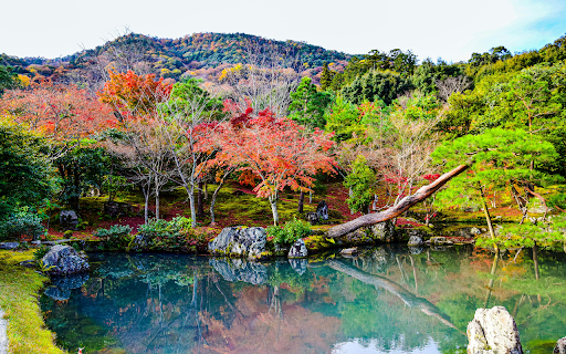 Stream in a Park in Kyoto from Chrome web store to be run with OffiDocs Chromium online Stream in a Park in Kyoto from Chrome web store to be run with OffiDocs Chromium online