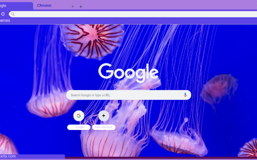 Sua from Chrome web store to be run with OffiDocs Chromium online Sua from Chrome web store to be run with OffiDocs Chromium online