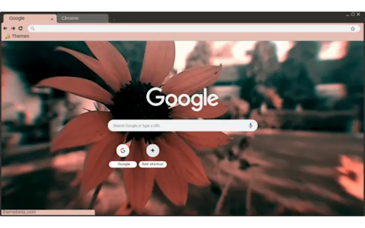 sunflower2 from Chrome web store to be run with OffiDocs Chromium online sunflower2 from Chrome web store to be run with OffiDocs Chromium online
