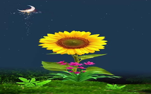 Sunflower and moon wallpaper from Chrome web store to be run with OffiDocs Chromium online Sunflower and moon wallpaper from Chrome web store to be run with OffiDocs Chromium online