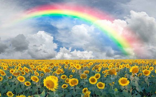 sunflower and rainbow wallpapers from Chrome web store to be run with OffiDocs Chromium online sunflower and rainbow wallpapers from Chrome web store to be run with OffiDocs Chromium online