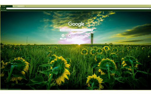 Sun Flower Field from Chrome web store to be run with OffiDocs Chromium online Sun Flower Field from Chrome web store to be run with OffiDocs Chromium online