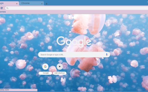 Surreal Jellyfish Lake from Chrome web store to be run with OffiDocs Chromium online Surreal Jellyfish Lake from Chrome web store to be run with OffiDocs Chromium online