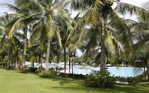 swimming pool and coconut trees from Chrome web store to be run with OffiDocs Chromium online swimming pool and coconut trees from Chrome web store to be run with OffiDocs Chromium online