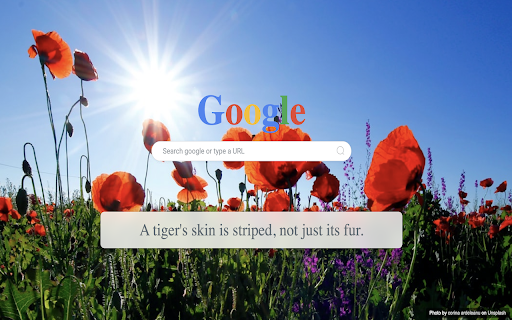 TabFlux New Tab with Fun Educational Facts from Chrome web store to be run with OffiDocs Chromium online TabFlux New Tab with Fun Educational Facts from Chrome web store to be run with OffiDocs Chromium online