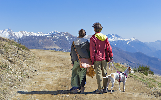 Take your dog climbing from Chrome web store to be run with OffiDocs Chromium online Take your dog climbing from Chrome web store to be run with OffiDocs Chromium online