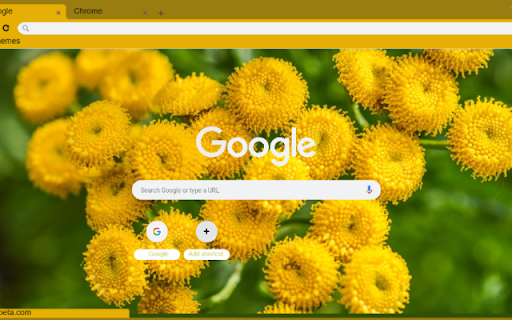 Tansy from Chrome web store to be run with OffiDocs Chromium online Tansy from Chrome web store to be run with OffiDocs Chromium online