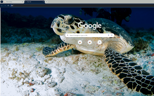 The 500 year old sea turtle from Chrome web store to be run with OffiDocs Chromium online The 500 year old sea turtle from Chrome web store to be run with OffiDocs Chromium online