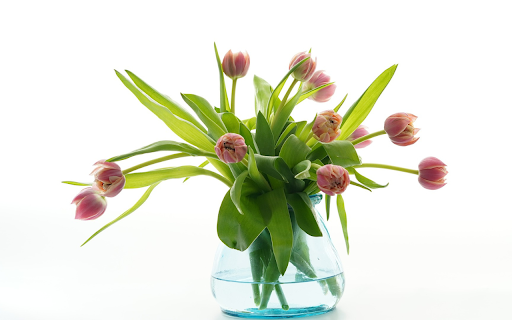 The art of flower arrangement from Chrome web store to be run with OffiDocs Chromium online The art of flower arrangement from Chrome web store to be run with OffiDocs Chromium online