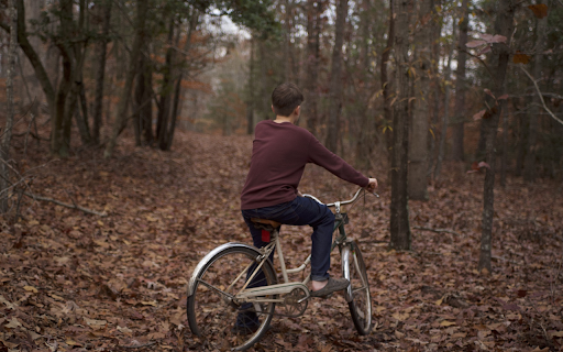 The boy in the forest from Chrome web store to be run with OffiDocs Chromium online The boy in the forest from Chrome web store to be run with OffiDocs Chromium online