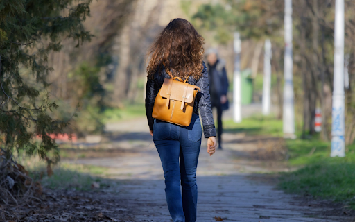 The Brownish Gold Backpack from Chrome web store to be run with OffiDocs Chromium online The Brownish Gold Backpack from Chrome web store to be run with OffiDocs Chromium online