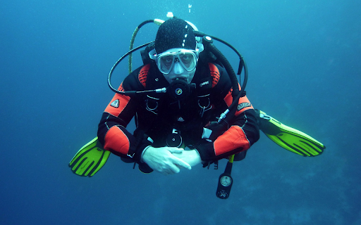 The diver from Chrome web store to be run with OffiDocs Chromium online The diver from Chrome web store to be run with OffiDocs Chromium online