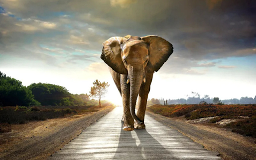 The Majestic Elephant: A Gentle Giant of the Wild from Chrome web store to be run with OffiDocs Chromium online The Majestic Elephant: A Gentle Giant of the Wild from Chrome web store to be run with OffiDocs Chromium online