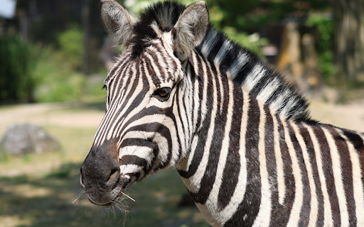 ThemeBeta.com from Chrome web store to be run with OffiDocs Chromium online ThemeBeta.com from Chrome web store to be run with OffiDocs Chromium online